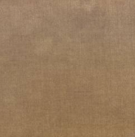 5613- Tumeric Beagle Chenille Plain